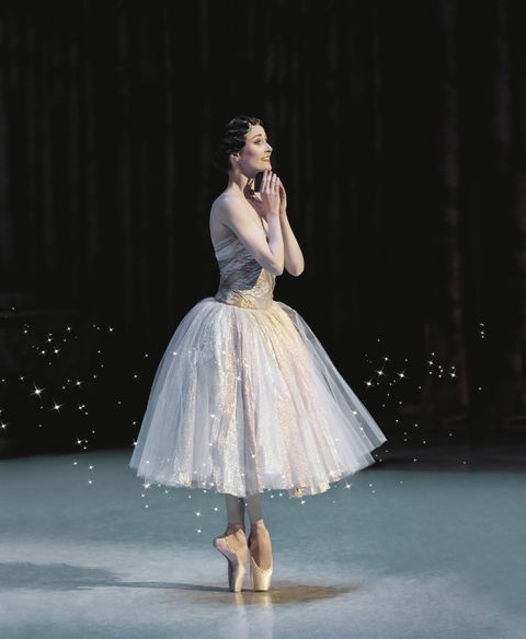 The Australian Ballet - Accommodation Sunshine Coast 2