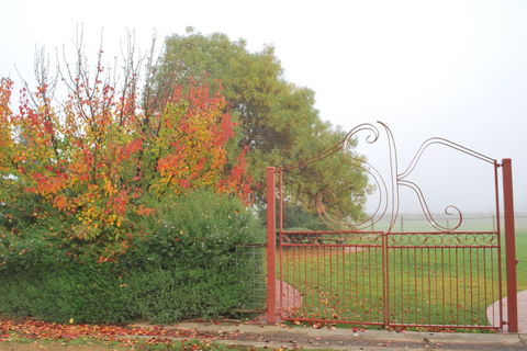 Stanton And Killeen Wines - Accommodation Sunshine Coast 4