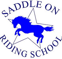 Saddle On Riding School - Accommodation Sunshine Coast