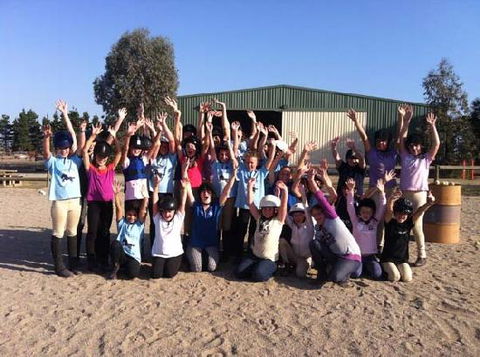 Saddle On Riding School - Accommodation Sunshine Coast 2