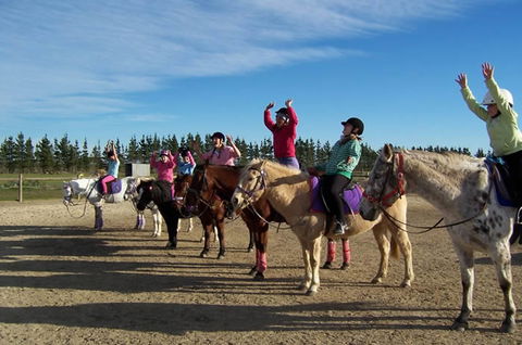 Saddle On Riding School - Accommodation Sunshine Coast 3