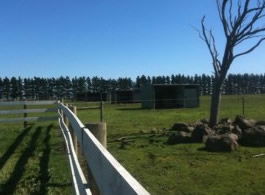 Saddle On Riding School - Accommodation Sunshine Coast 6