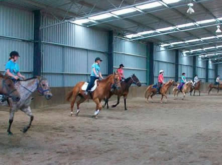 Saddle On Riding School - Accommodation Sunshine Coast 7