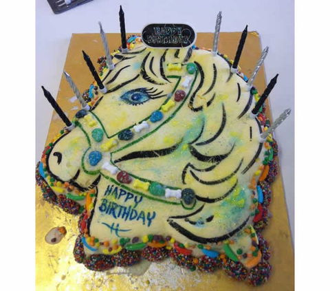 Saddle On Riding School - Accommodation Sunshine Coast 10