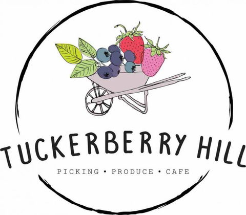 Tuckerberry Hill - Accommodation Sunshine Coast 1