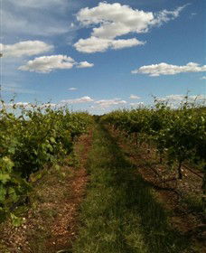 Chambers Rosewood Winery - Accommodation Sunshine Coast 0