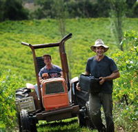 Kellybrook Winery  Kelly Brothers Cider - Accommodation Sunshine Coast