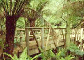 Mount Worth State Park - Accommodation Sunshine Coast 0
