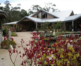 Kuranga Native Nursery And Paperbark Cafe - Accommodation Sunshine Coast 0