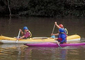 Longridge Park Camp - Accommodation Sunshine Coast 0