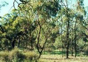 Appin South VIC Accommodation Sunshine Coast