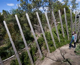 Herring Island Environmental Sculpture Park - Accommodation Sunshine Coast 0