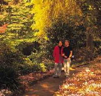 George Tindale Memorial Gardens - Accommodation Sunshine Coast