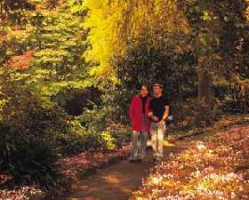George Tindale Memorial Gardens - Accommodation Sunshine Coast 0