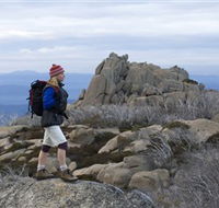 Mount Buffalo National Park - Accommodation Sunshine Coast