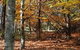 RJ Hamer Arboretum - thumb 0