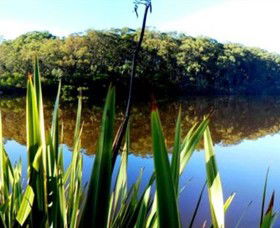 Aura Vale Lake Park - Accommodation Sunshine Coast 0