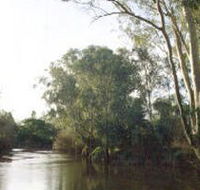 Banksia Park - Accommodation Sunshine Coast