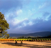 Mount Avoca - Accommodation Sunshine Coast