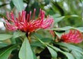 Alfred National Park - Accommodation Sunshine Coast 0
