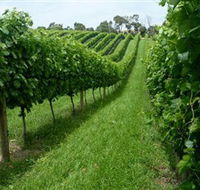 The Cups Estate - Accommodation Sunshine Coast