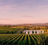 Oakridge Wines - Accommodation Sunshine Coast