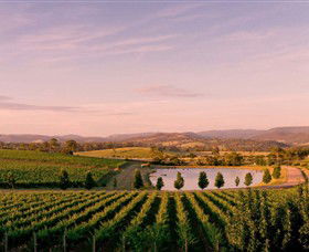 Oakridge Wines - Accommodation Sunshine Coast 0