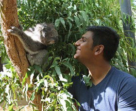 Healesville Sanctuary - Accommodation Sunshine Coast 0