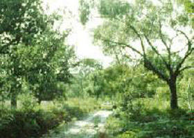 Rosedale VIC Accommodation Sunshine Coast