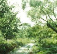 Holey Plains State Park - Accommodation Sunshine Coast