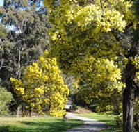 Wattle Park - Accommodation Sunshine Coast
