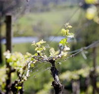 Eldridge Estate of Red Hill - Accommodation Sunshine Coast