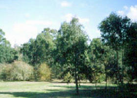 Sweeneys Flat - Accommodation Sunshine Coast 0