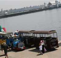 Waterfront Train Tours and Bungy Trampoline - Accommodation Sunshine Coast