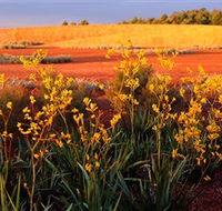 Royal Botanic Gardens Victoria Cranbourne - Accommodation Sunshine Coast