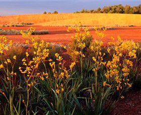 Royal Botanic Gardens Victoria Cranbourne - Accommodation Sunshine Coast 0