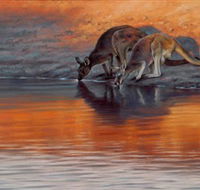 Steve Morvell Wildlife Art - Accommodation Sunshine Coast