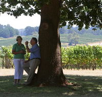 Five Oaks Vineyard - Accommodation Sunshine Coast
