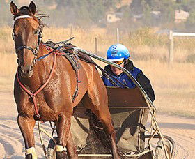 Ballarat & District Trotting Club - Accommodation Sunshine Coast 0