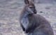 Churchill National Park - thumb 0