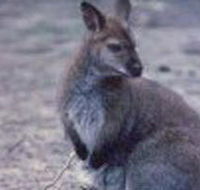 Churchill National Park - Accommodation Sunshine Coast