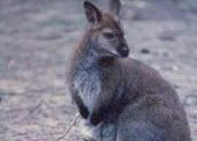 Churchill National Park - Accommodation Sunshine Coast 0