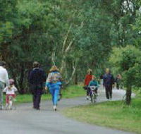 Birrarrung Park - Accommodation Sunshine Coast