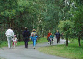 Birrarrung Park - Accommodation Sunshine Coast 0