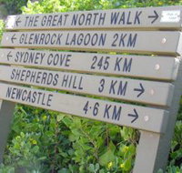Great North Walk - Accommodation Sunshine Coast