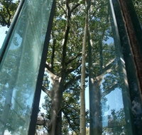 Sydney Sculpture Walk - Accommodation Sunshine Coast