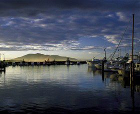 The Coast Road - Accommodation Sunshine Coast 0