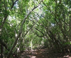 Durras North NSW Accommodation Sunshine Coast