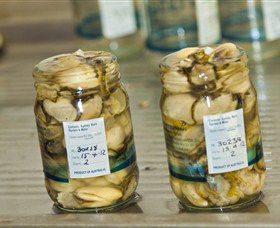 Broadwater Oysters - Accommodation Sunshine Coast 0