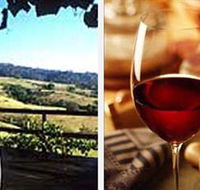 Jasper Valley Wines and Vines Cafe - Accommodation Sunshine Coast